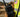 Two-Way or Not Two-Way? Motorola Radios Worth Your Money